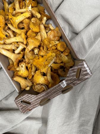 Champ girolles pr (1kg)