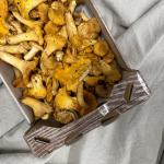 Champ girolles pr (1kg) (ST)