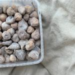 Vijgen Spaanse 'figuettes' pr (1,75kg) (ST)