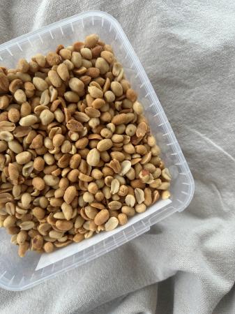 Peanuts salted pr (1,75kg)