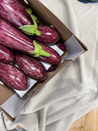 Aubergines graffiti pr (kist 5kg)