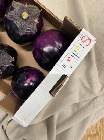 Aubergines rond violet pr (kist)