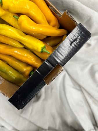 Paprika punt geel pr kg