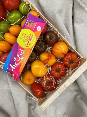 Tomaat LUXE saveur d'antan Provence pr (kist 5kg)