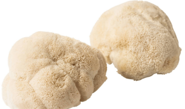 Champ pom pom pr (kist 2x500g)
