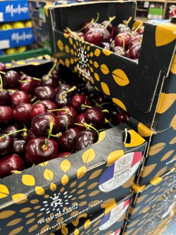 Cerises presque fin de saison! 