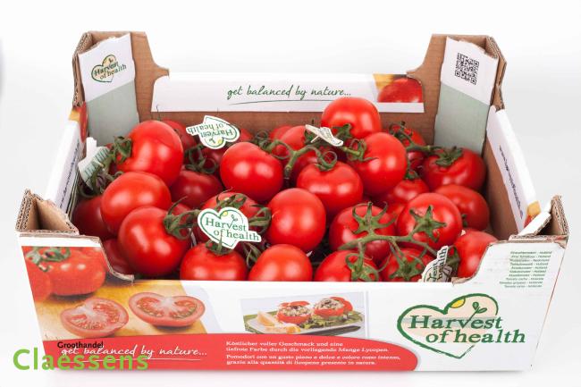 Tomates en grappe lycopeen pr (caisse 5kg)