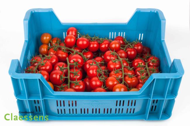 Tomates en grappe ministar (+9) pr (caisse 4kg)