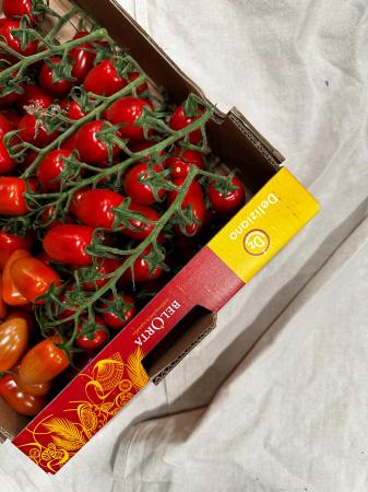 Tomaat dattes deliziano pr (kist 3kg)