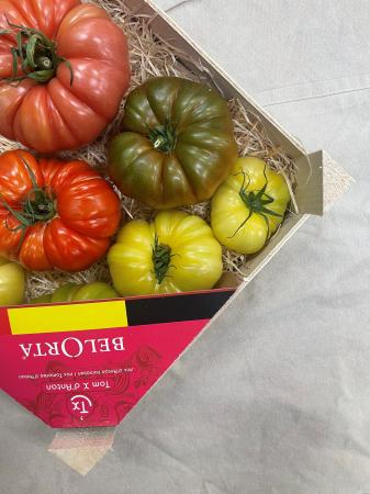 Tomaat saveur d'antan pr (kist 3,5kg)