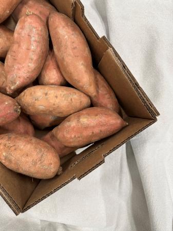 Aard sweet potato pr (kist 6kg)