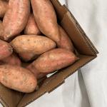 Aard zoete aardappel pr (1kg) (SCH)