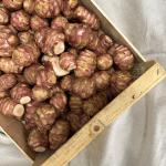 Aardpeer topinambour pr (kist 5kg) (KIST)