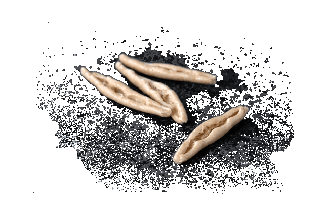 Fagiolini volkoren pr (1kg)