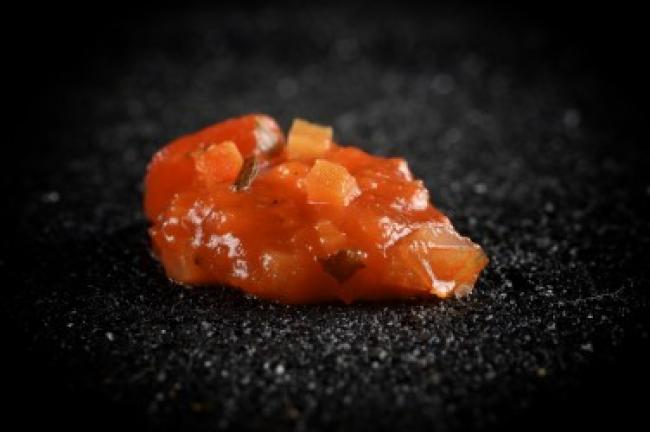 Sauce aux tomates pr (1kg)