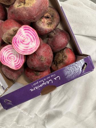 Bieten chioggia pr (kist 5kg)