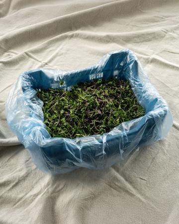 Micro leaves pr (kist 1kg)
