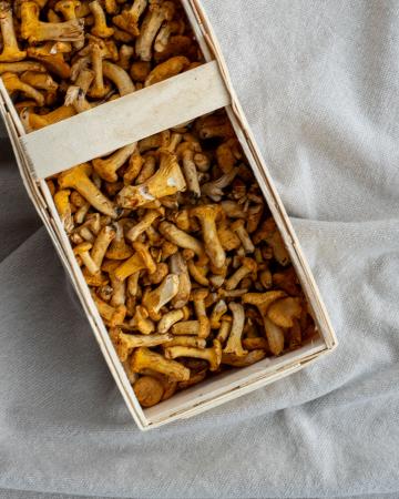 Champ girolles MINI pr (1kg)