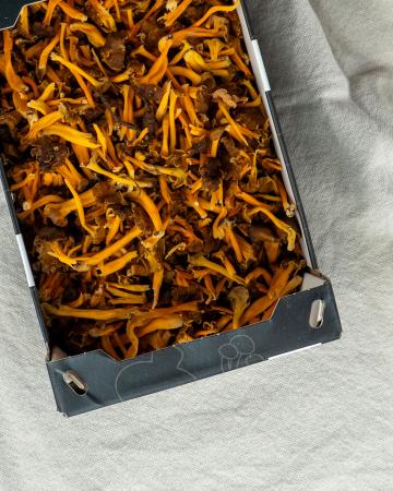 Champ chanterelle grijs/geel pr (1kg)