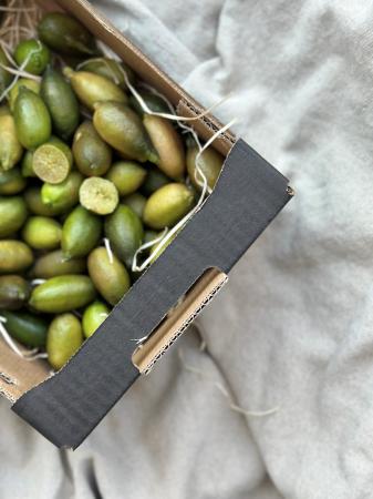 Finger limes pr kg