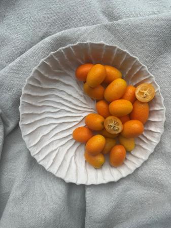 Kumquats pr (1kg)