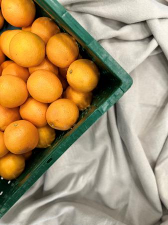 Orange à jus classe 1 Valencia pr (caisse 15kg)