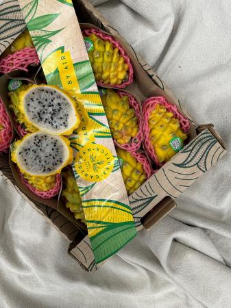 Pitahaya geel pr (kist)