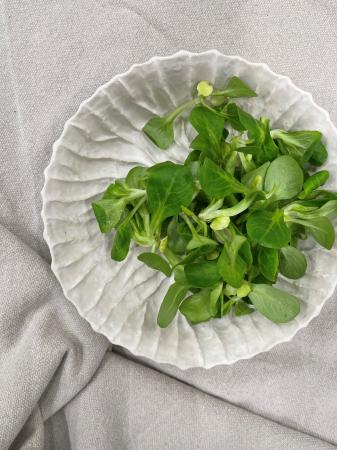 Lamb lettuce unwashed pr (125g)