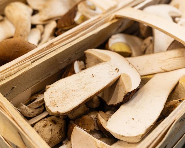 Découvrez nos produits de saison