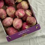 Radijs pink meat pr (kist 5kg) (KIST)