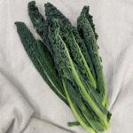 Palmkool cavolo nero pr (bussel) (ST)