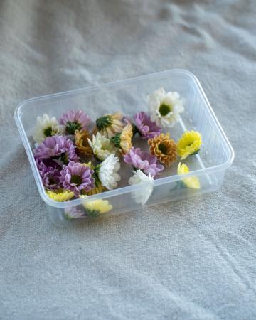 Bloem micro chrysant pr (schaal)