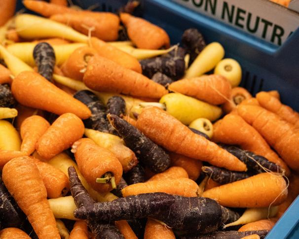 Mini Chantenay carrots are here!