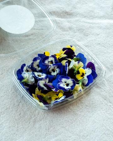 Bloem viool mix pr (schaal)