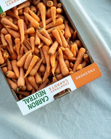 Mini carottes chantenay orange pr (1kg)