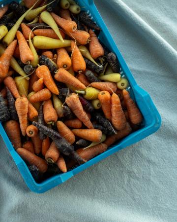 Mini carottes chantenay mix pr (caisse 5kg)