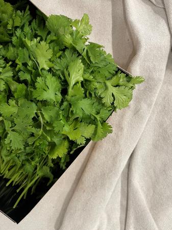 Coriander pr (box 300g)