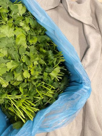Coriander pr (1kg)