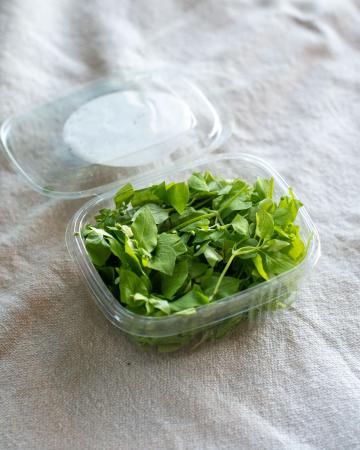Birds clam chickweed pr (scale)