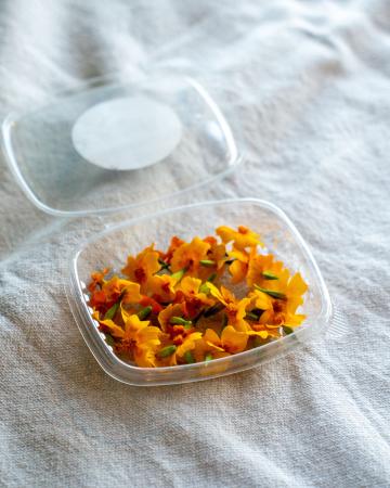 Bloem citrusafrikaantjes pr (schaal)