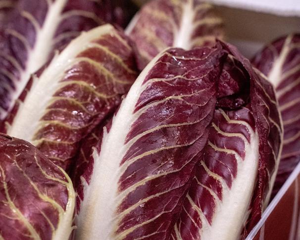 Castelfranco & Precoche sont de retour !