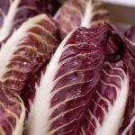 Castelfranco & Precoche zijn terug!