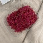 Scheut rode biet pr (80g) (ST)