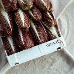Radicchio treviso precoche long pr (box) (KIST)