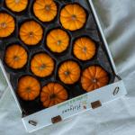 Pompoen jack be little pr (stuk) (ST)