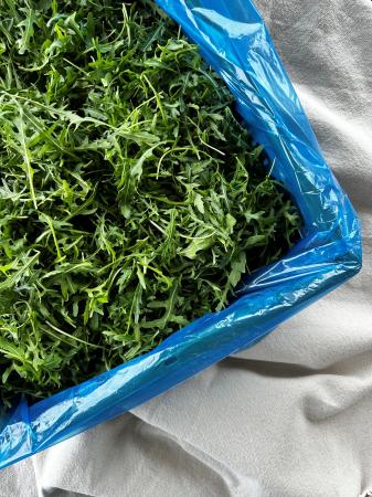 Rocket salad washed (chest 1kg)