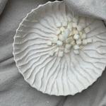 Rapen wit blokjes 1cm pr (1kg) (ST)
