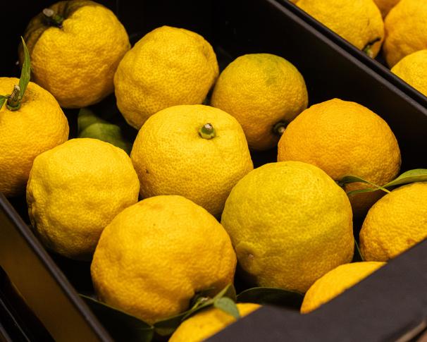 Le yuzu belge est arrivé !