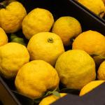 Belgische yuzu is er!