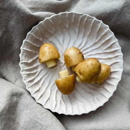 Aard champignon pr (1kg)